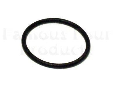 Thermostat Rubber O Ring