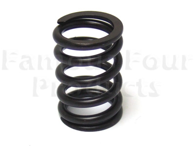 Valve Spring