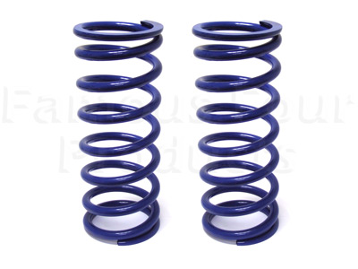Coil Springs - Rear - Heavy Duty