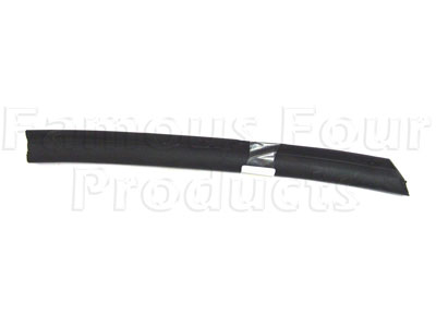 Rear Side Door Sill Seal