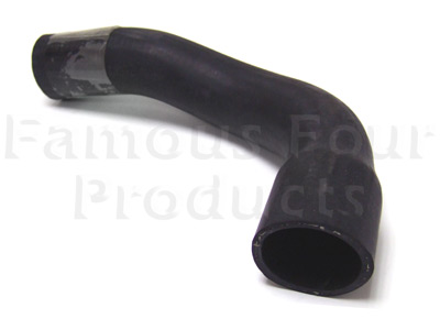 Top Hose - Radiator