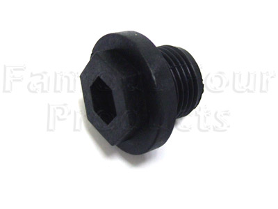 Radiator Filler Plug