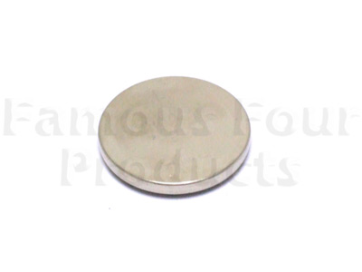 Remote Alarm Keyfob Battery