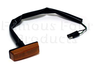Side Repeater Lamp Unit (No Bulb)