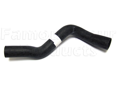Bottom Hose - Radiator