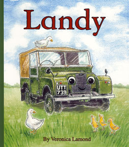 Landy - Childrens Story Book