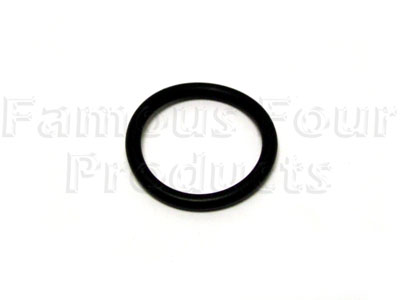 Radiator Filler Plug O Ring