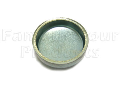 Core Plug (25mm/1-inch)