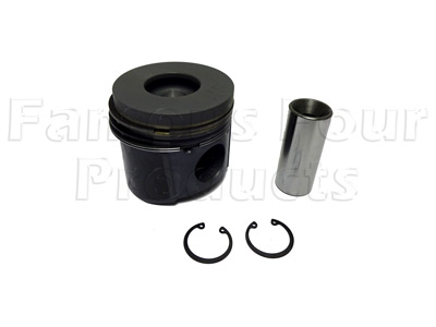 Piston & Ring Assembly