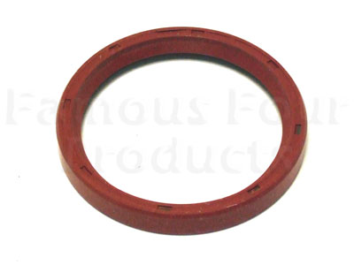 Rear Crankshaft Oil Seal
