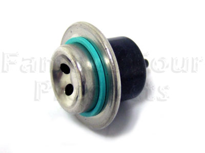Fuel Injection Pressure Regulator