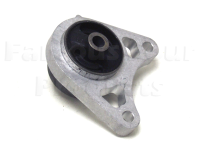 Rear Differential Front Mounting Bush