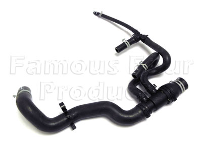 Bottom Hose