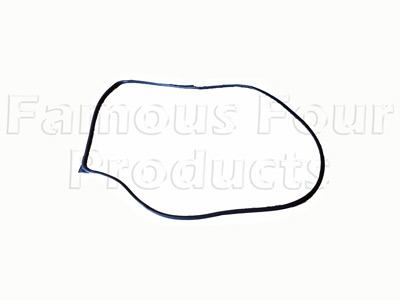 Rear Side Door Surround Seal - Primary