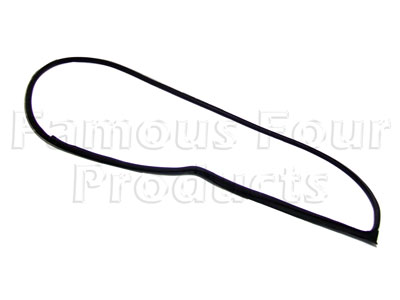 Rear Side Door Surround Seal - Primary