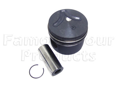 Piston & Ring Assy.