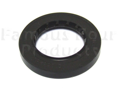 Oil Seal