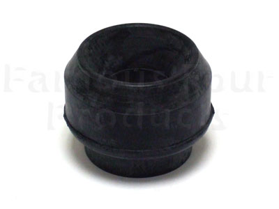 Rubber Bush