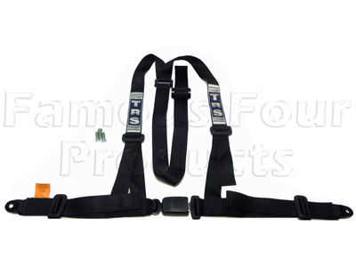 TRS Budget 3-point Harness