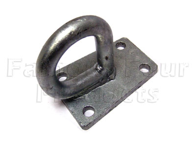 D Lifting Ring - Bumper Mounted