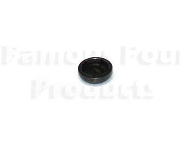 Valve Stem Cap