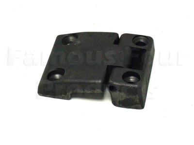 Front Door Hinge