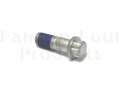 Fixing Bolt - Brake Caliper - M12 Metric