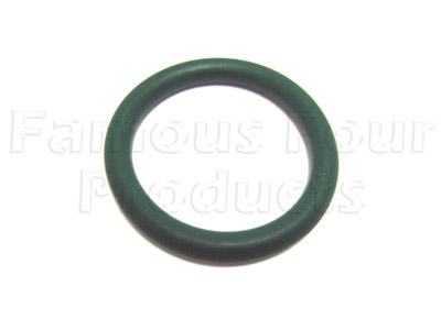 Inlet Manifold Seal