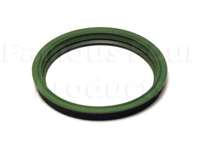 Sealing Gasket - In-Tank Fuel Pump