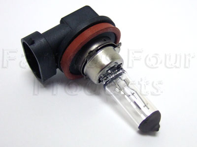 Bulb and Holder