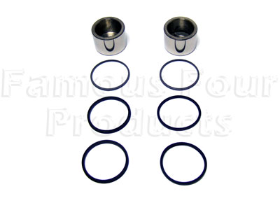 Piston & Seal Kit - Brake Caliper