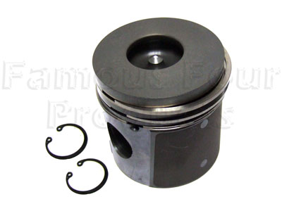 Piston & Ring Assembly