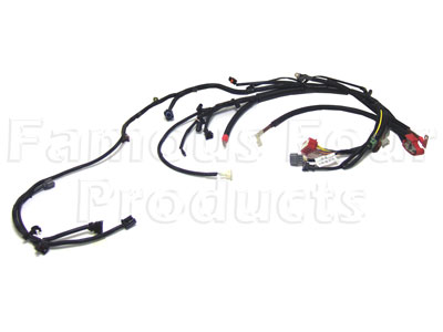 Engine Harness (to ECU) TD5