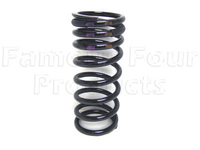 Coil Spring - Rear