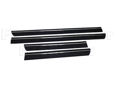 Body Side Rubbing Strip Kit