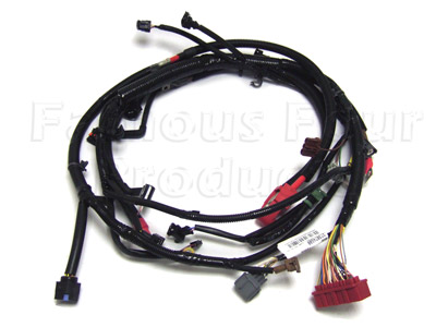 Engine Harness (to ECU) TD5