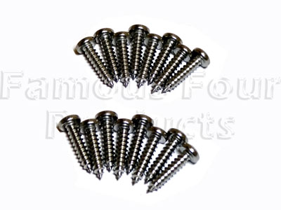 Stainless Steel Light Screw Set