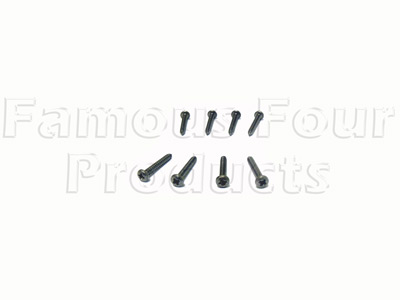 Stainless Steel Light Screw Set