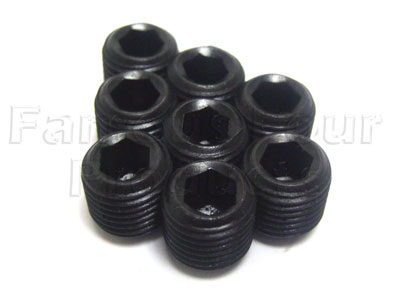 V8 De-Tox Blanking Plug Kit