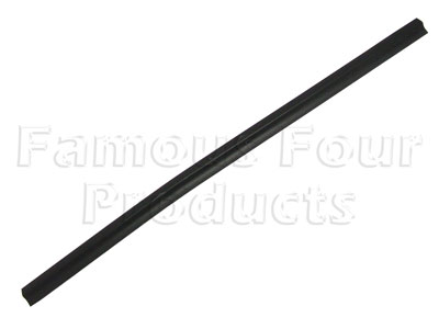 Front Door Waist Seal - Outer