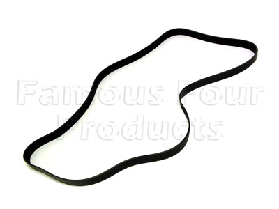 Anciliary Drive Belt