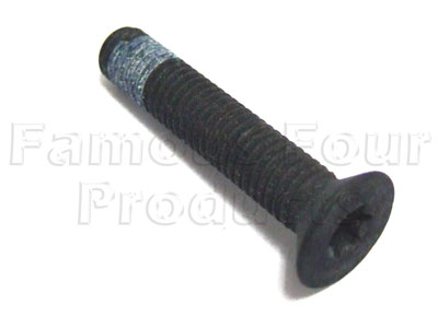 Bolt Fixing - Lower Swivel Pin Damper