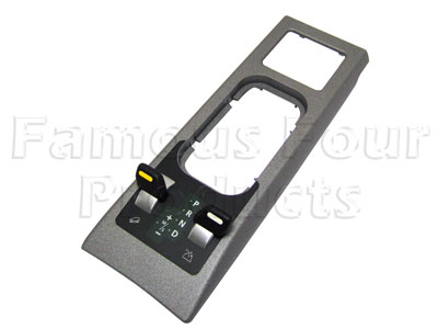 Switch and Panel Assembly - Hill Descent