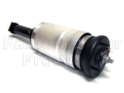 Shock Absorber and Air Spring