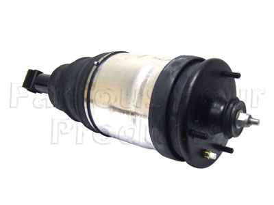 Shock Absorber and Air Spring
