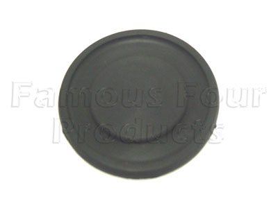 Seal - Fuel Filler Cap