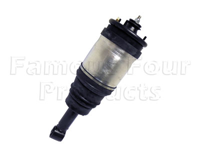 Strut and Shock Absorber Assembly - Rear