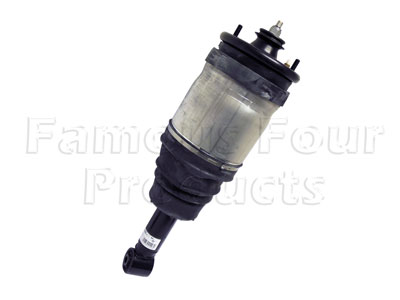 Strut and Shock Absorber Assembly - Rear
