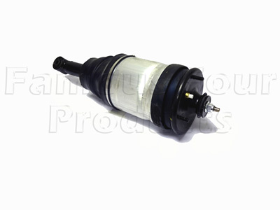 Strut and Shock Absorber Assembly - Rear