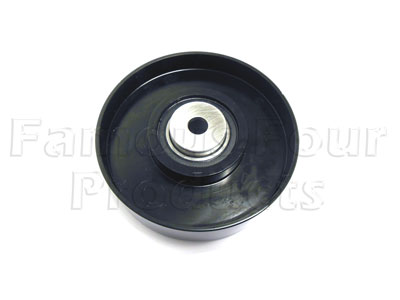 Idler - Auxiliary Drive Belt